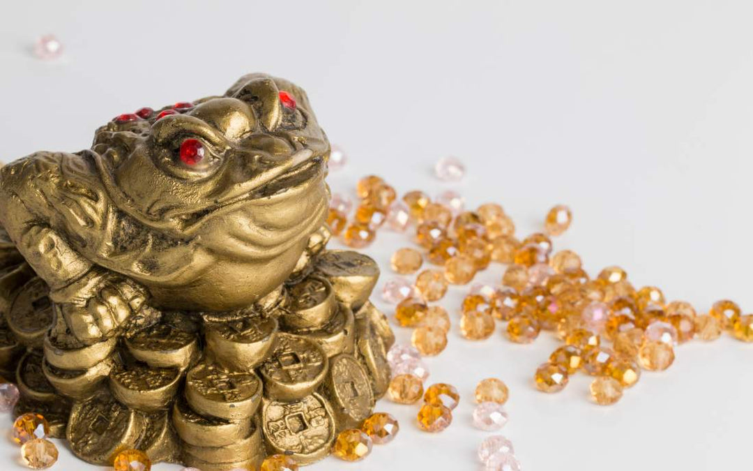 Der Geldfrosch: Was Du über diese dreibeinige Kröte wissen musst TaoTempel