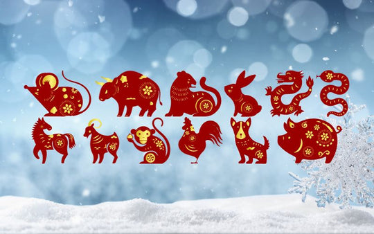 Dezember 2023 Horoskop: Was Dein Tierkreiszeichen für Dich bereithält