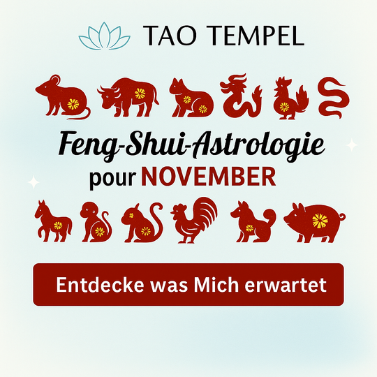 November 2025 Horoskop: Was erwartet jedes Tierkreiszeichen?