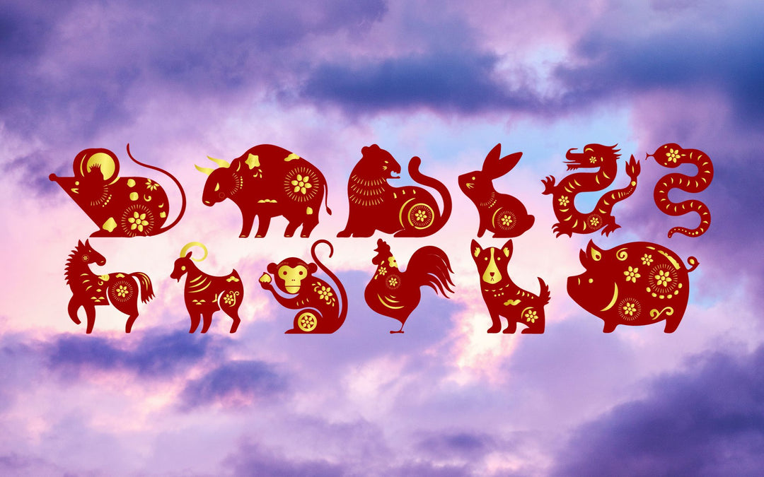 November 2023 Horoskop: Was Dein Tierkreiszeichen für Dich bereithält TaoTempel