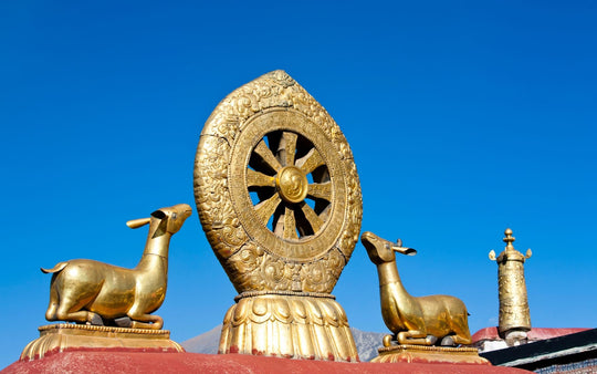 Was ist das Dharma Rad? Bedeutung und Wichtigkeit im Buddhismus