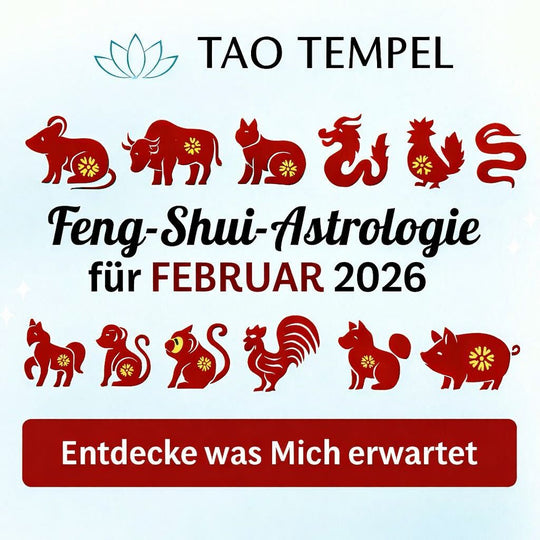 Februar 2026 Horoskop: Was erwartet jedes Tierkreiszeichen?