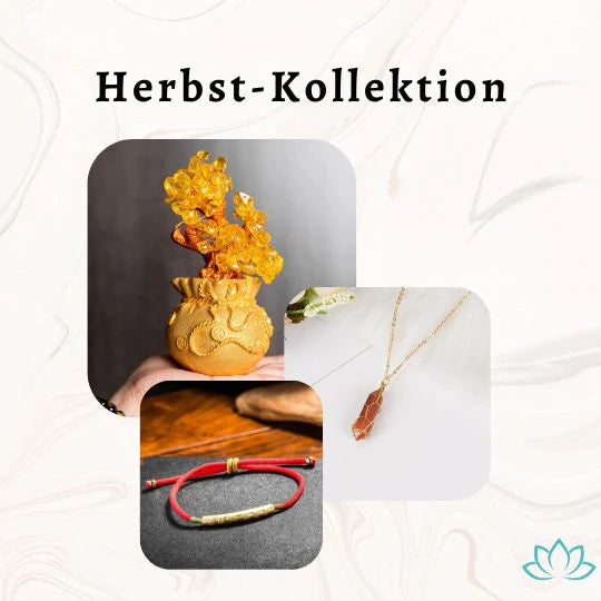 Herbst-Kollektion