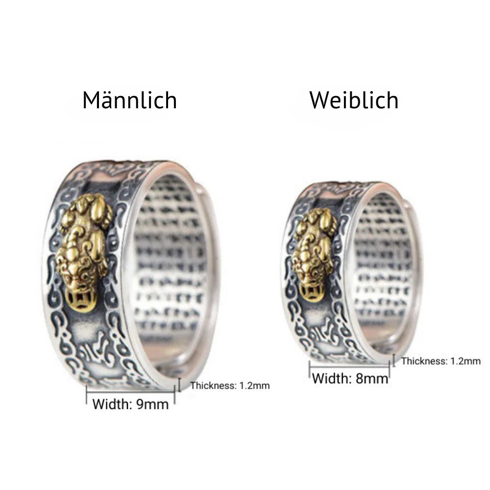 Feng Shui Pixiu Mantra Ring – Reichtum & Schutz LIMITIERT - Ring - TaoTempel